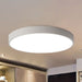 Ceiling Light LED Dimmable/Cool White 24W Black Shell Round Indoor Light | White - Battery Mate