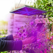 Load image into Gallery viewer, 2000W 225 LED Grow Light Hydroponic Kits Growing Lamp Plant Flower Veg Indoor - Battery Mate