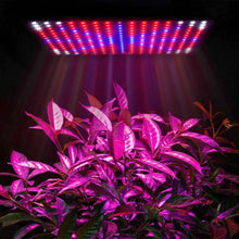 Load image into Gallery viewer, 2000W 225 LED Grow Light Hydroponic Kits Growing Lamp Plant Flower Veg Indoor - Battery Mate