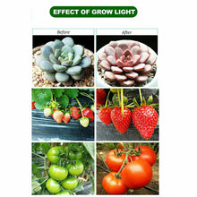 Load image into Gallery viewer, 2000W 225 LED Grow Light Hydroponic Kits Growing Lamp Plant Flower Veg Indoor - Battery Mate
