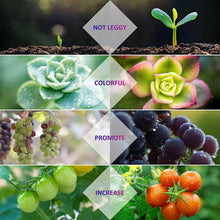 Load image into Gallery viewer, 4Head LED Grow Light Plant Light Panel Growing Plant Veg Flower Indoor Lamp - Battery Mate