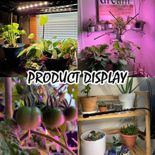 Load image into Gallery viewer, 4Head LED Grow Light Plant Light Panel Growing Plant Veg Flower Indoor Lamp - Battery Mate