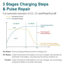 Load image into Gallery viewer, Lithium Battery Charger Lithium Iron For LiFePO4 12V 20A AC/DC 14.6V OZ - Battery Mate